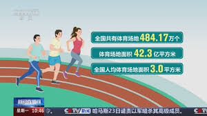 小篮球体适能器材