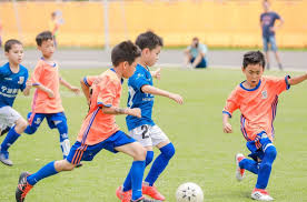 2026年国际足联世界杯 室外健身器材的使用寿命是多久？